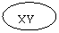 Բ: XY