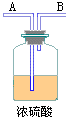 picture2_11.gif (1717 bytes)
