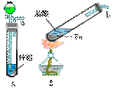 picture2_21.gif (5569 bytes)