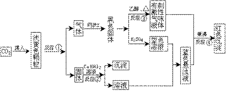 t2_4.gif (5490 bytes)