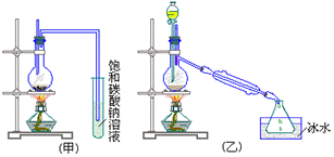 picture4_8.gif (6377 bytes)