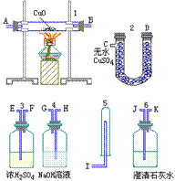 picture5_5.gif (8618 bytes)