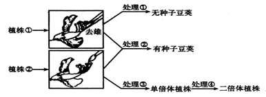 w5