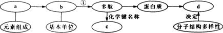 O:\Ծ\1.files\16.gif