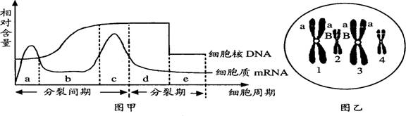 C:\Documents and Settings\Administrator\\121.files\12111.gif