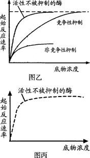 C:\Documents and Settings\Administrator\\121.files\12113.gif