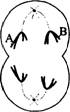 O:\Ծ\2.files\215.gif