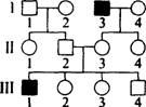O:\Ծ\5.files\53.gif
