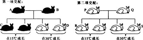 O:\Ծ\5.files\58.gif