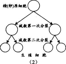 O:\Ծ\5.files\510.gif