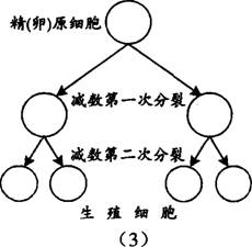 O:\Ծ\5.files\511.gif