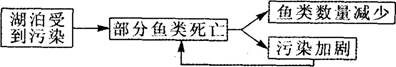 O:\Ծ\5.files\513.gif
