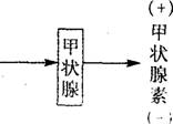 O:\Ծ\5.files\514.gif