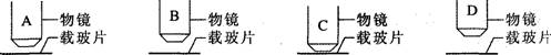 O:\Ծ\6.files\60.gif