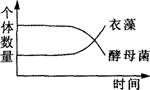 O:\Ծ\6.files\62.gif