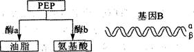 O:\Ծ\6.files\68.gif