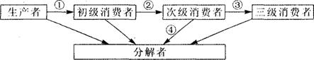 O:\Ծ\1.files\19.gif