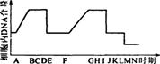 O:\Ծ\2.files\28.gif