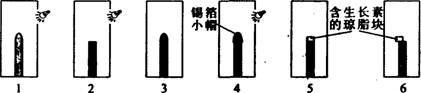 O:\Ծ\7.files\79.gif