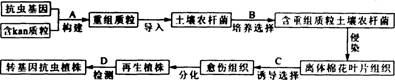 O:\Ծ\7.files\713.gif