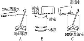 δ-1