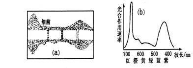 211.bmp
