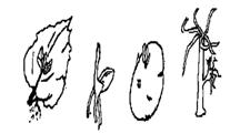 23.bmp