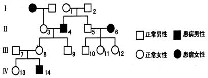 28.bmp