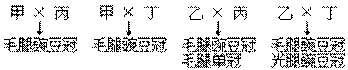 T4.gif (2148 bytes)