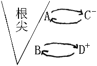 4.据根对土壤溶液矿质元素吸收的示意图回答(c,d 为土壤中离子)