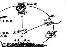文本框: