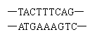 ı: TACTTTCAG
ATGAAAGTC


