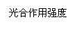 ı: ǿ