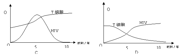 ı: HIVTϸŨ

,ı: HIVTϸŨ


