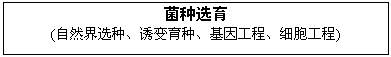 ı: ѡ
(Ȼѡ֡ձ֡򹤳̡ϸ)

