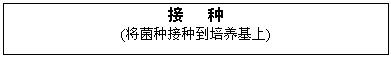 ı:  
(ֵֽ)

