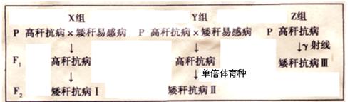 15.bmp