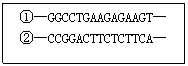 ı: ١GGCCTGAAGAGAAGT
ڡCCGGACTTCTCTTCA
