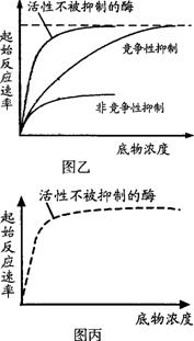 C:\Documents and Settings\Administrator\\121.files\12113.gif
