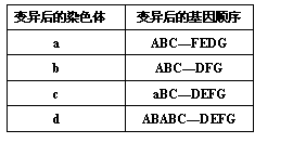 ı: Ⱦɫ	Ļ˳
a	ABCFEDG
b	ABCDFG
c	aBCDEFG
d	ABABCDEFG

