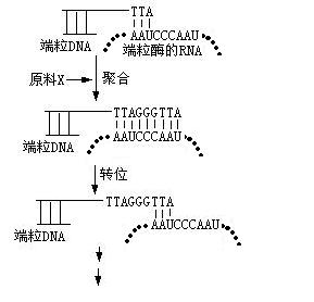 高三生物下册综合试卷4