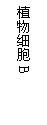 ı: ֲϸB