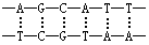 δ