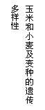 ı: ׺С󼰱ֵŴ