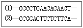 ı: ١GGCCTGAAGAGAAGT
ڡCCGGACTTCTCTTCA
