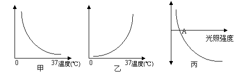 ı: лǿ,ı: лǿ,ı: ͷ CO2 

