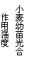 ı: С
ǿ
