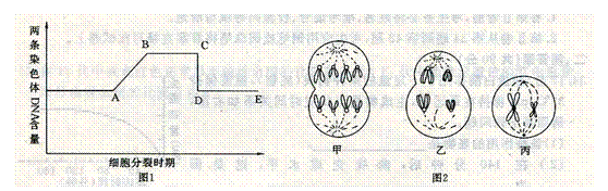 ı: 