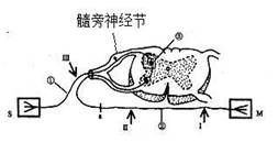 http://sq.k12.com.cn/bbs/index.php?t=getfile&id=3247