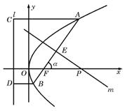 T5